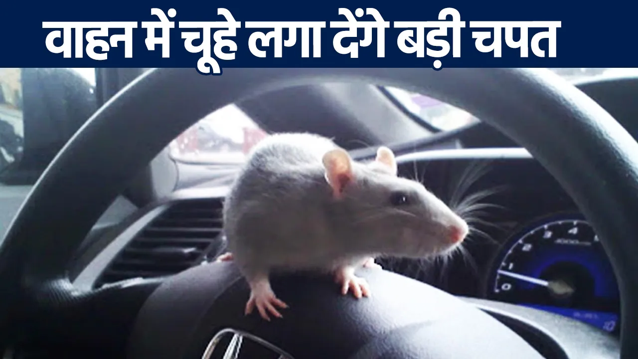Protection from rats