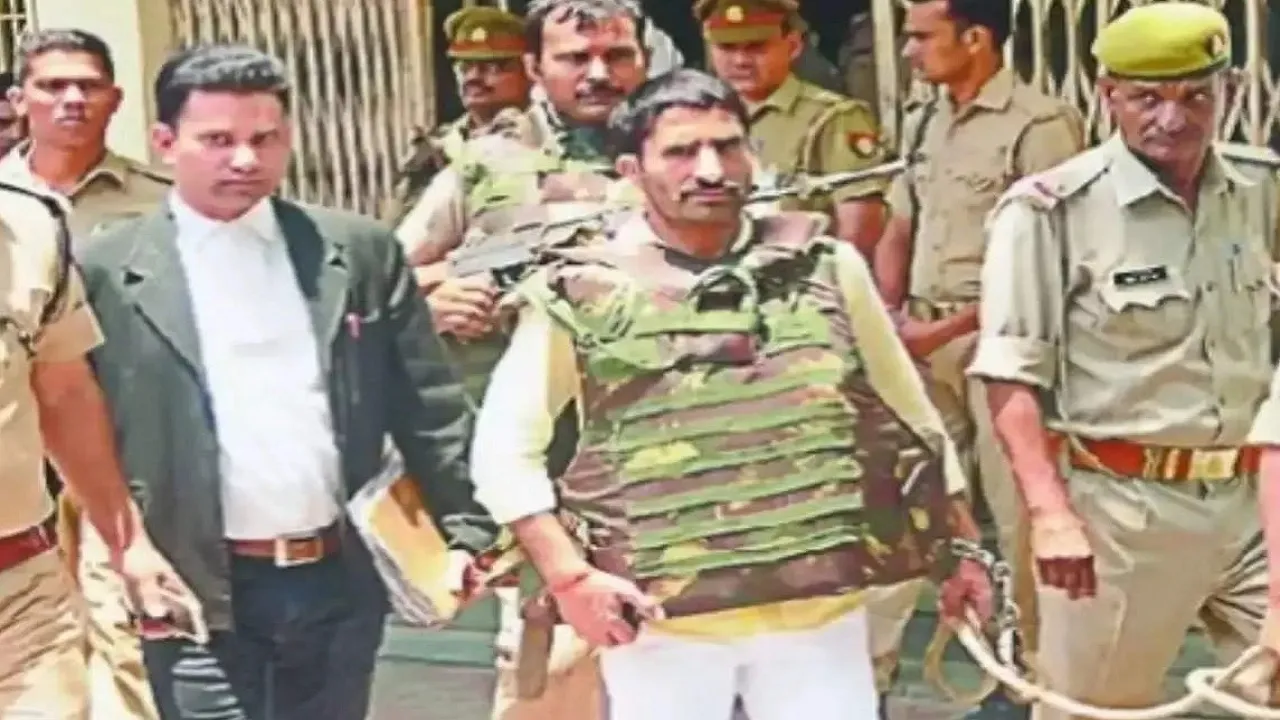 Anil Dujana
