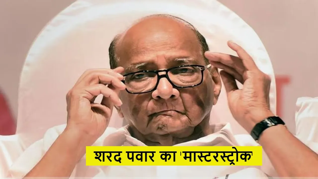 sharad pawar ncp president