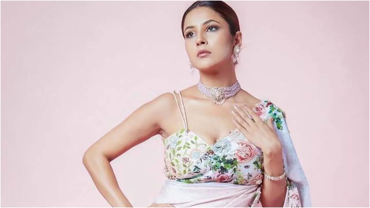 Shehnaaz Gill Net Worth