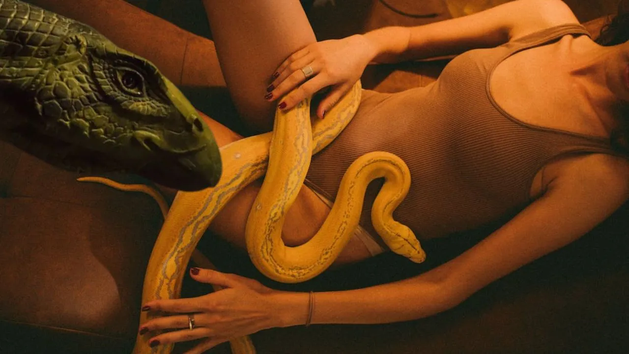 Poisonous snake in the world