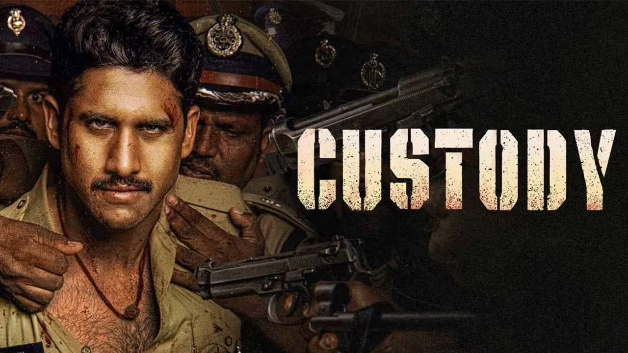 Custody movie review