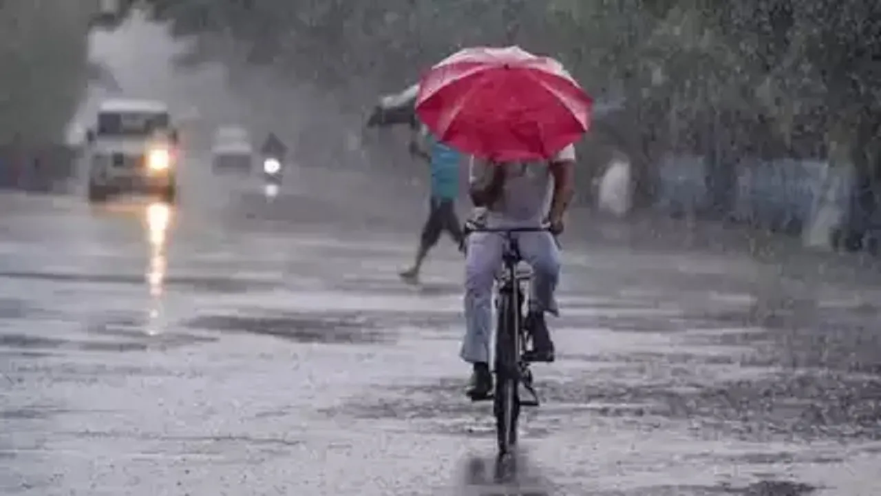 rain