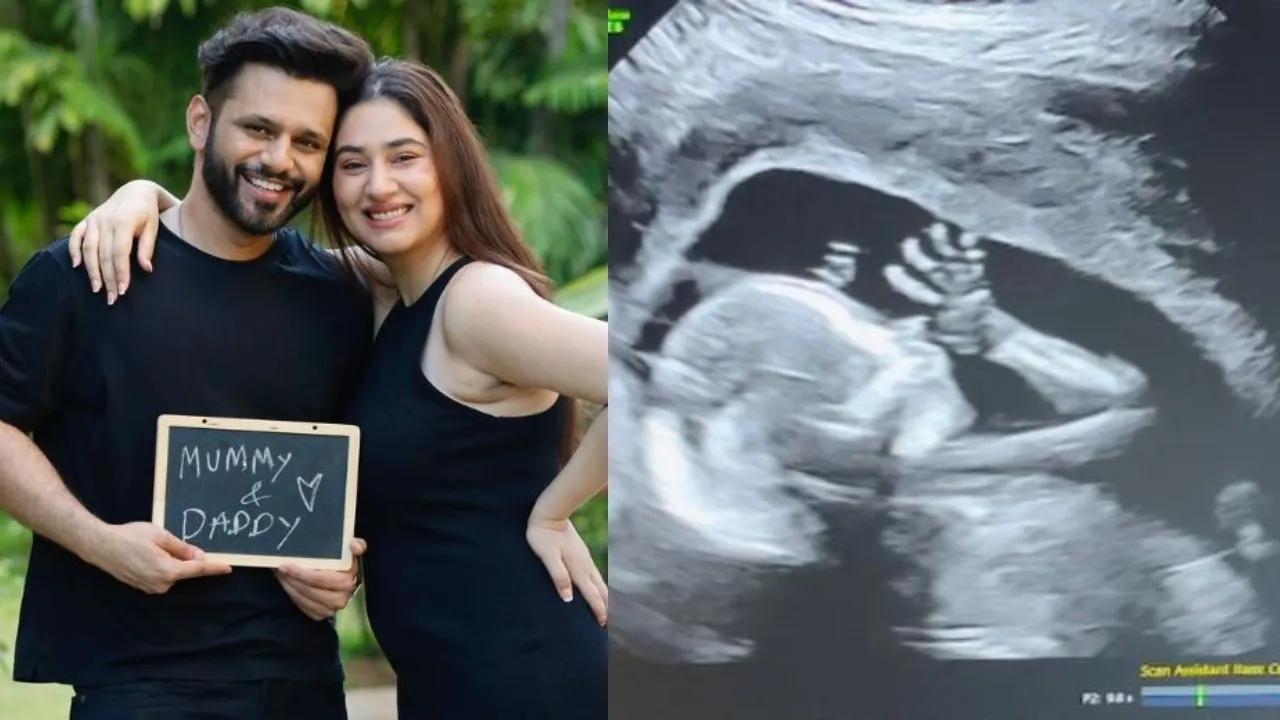 Disha Parmar Pregnancy