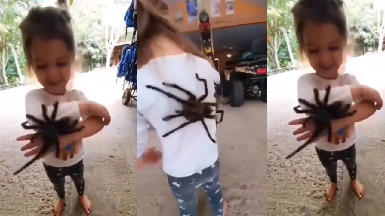 viral trending video