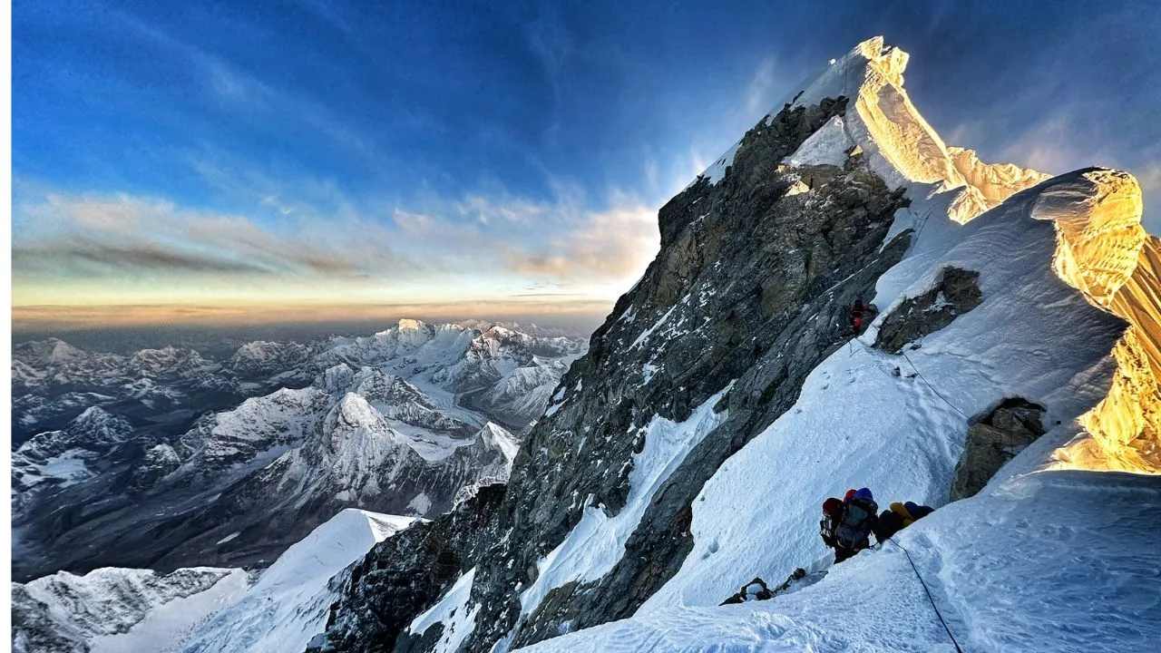 himalayan
