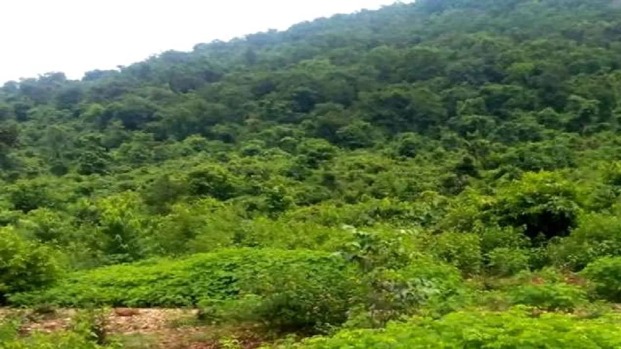 Budha pahad