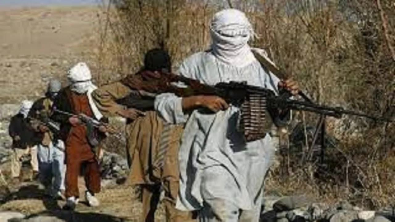 Terror wreaks