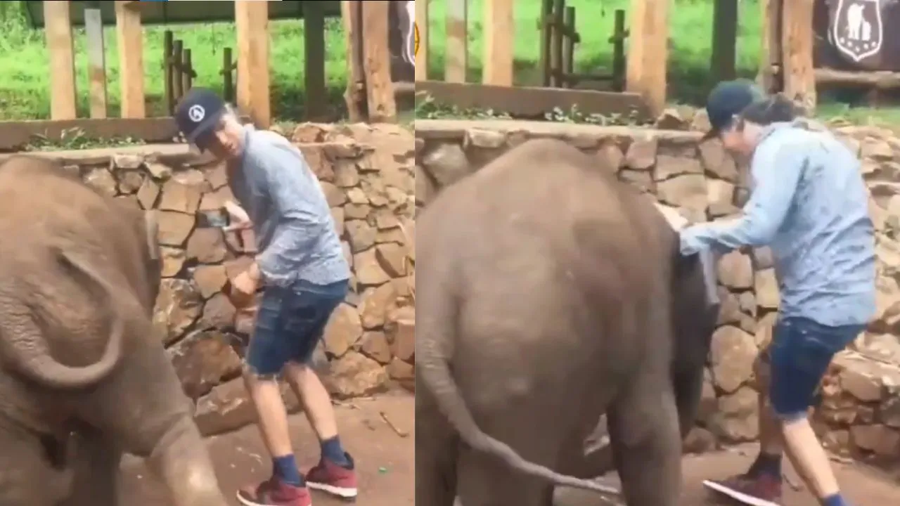 viral trending video