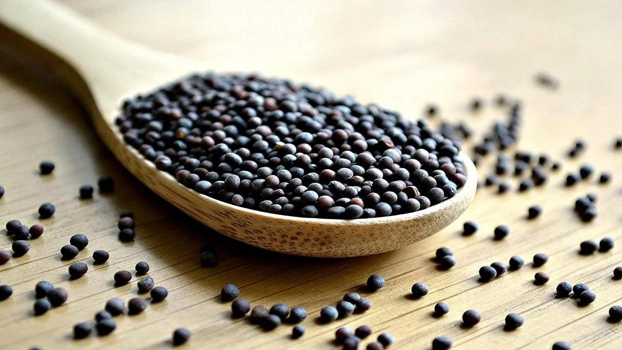 Black Masturd Remedies 2023