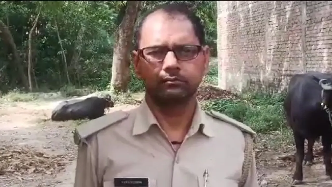 begusari daroga