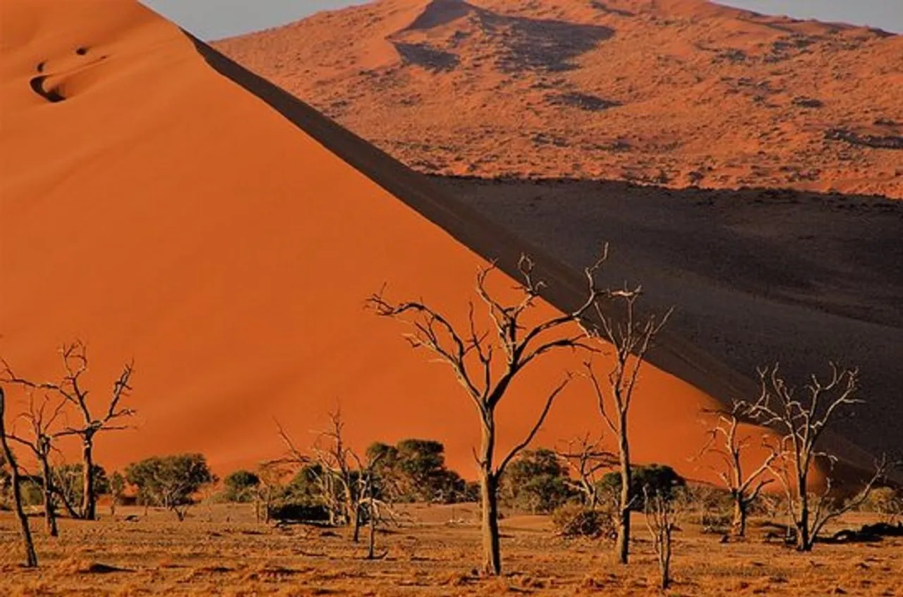 Desert