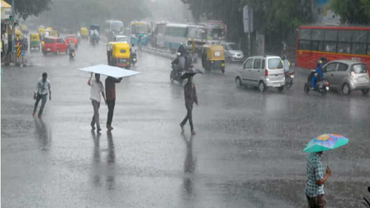 Rain Alert