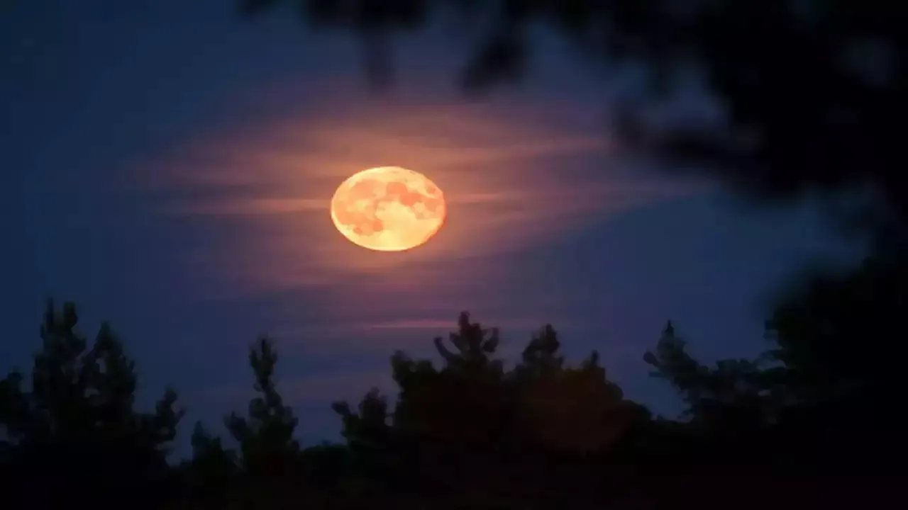 Ashadha Purnima 2023