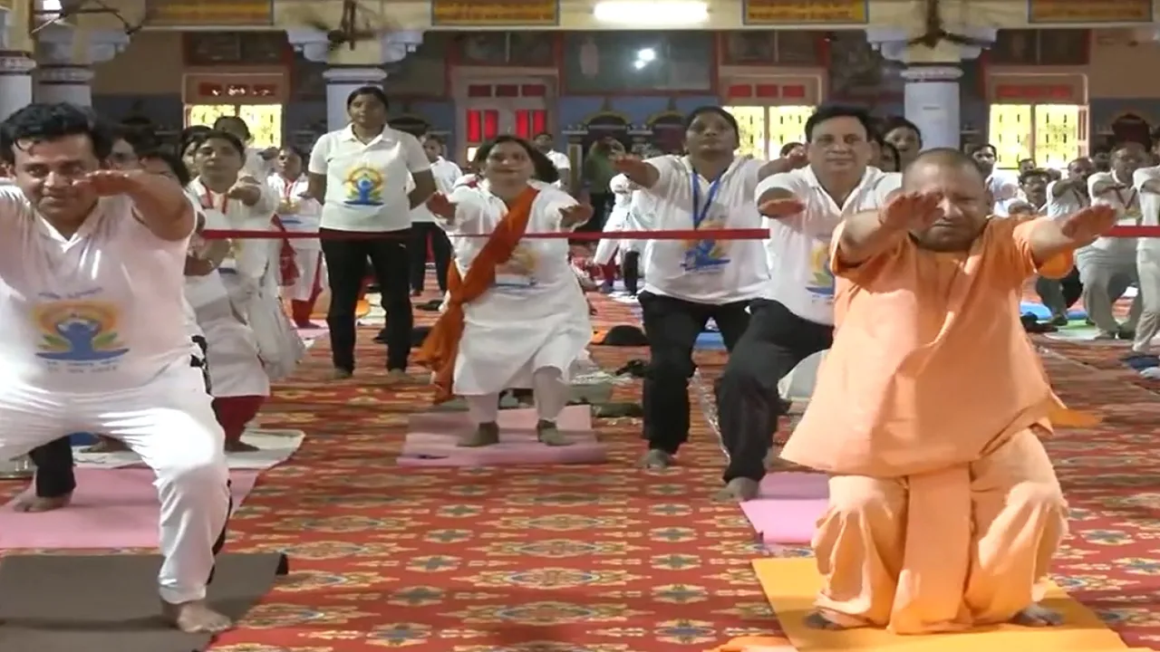 yogi yoga