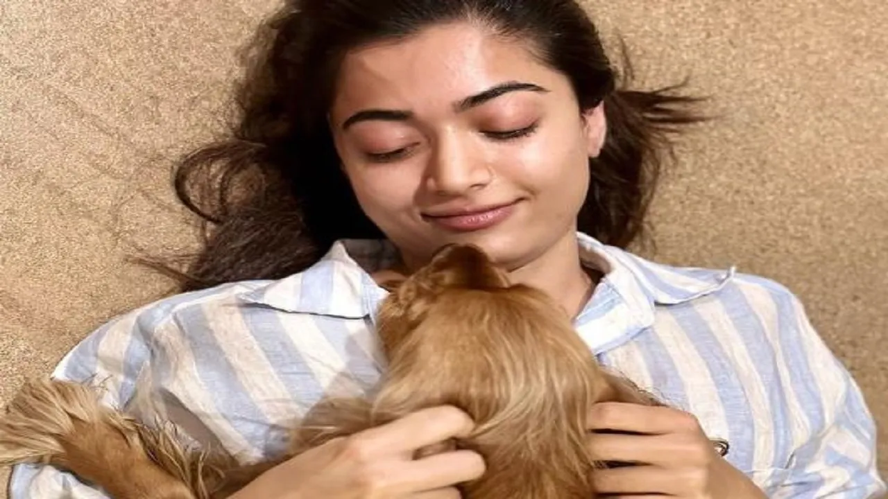 Rashmika Mandanna