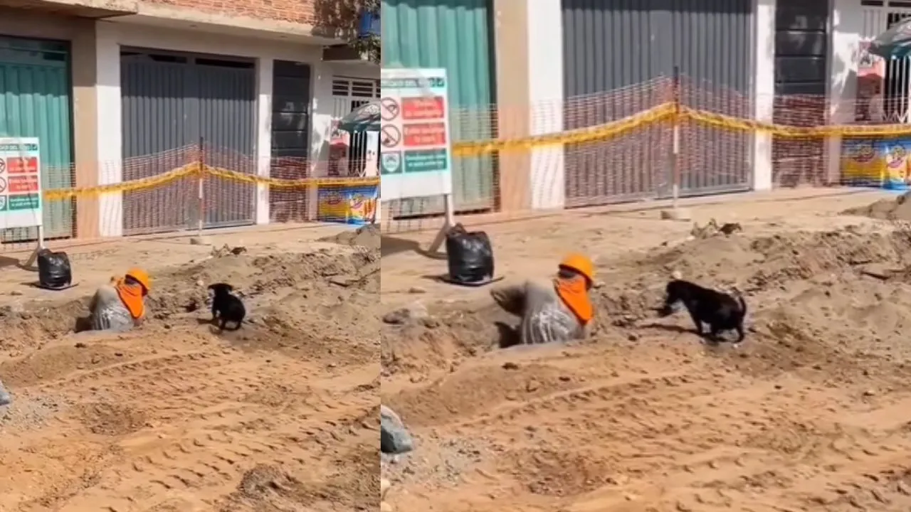 viral trending video