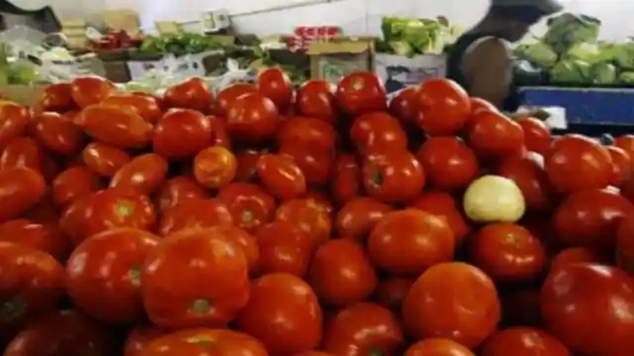 tomato