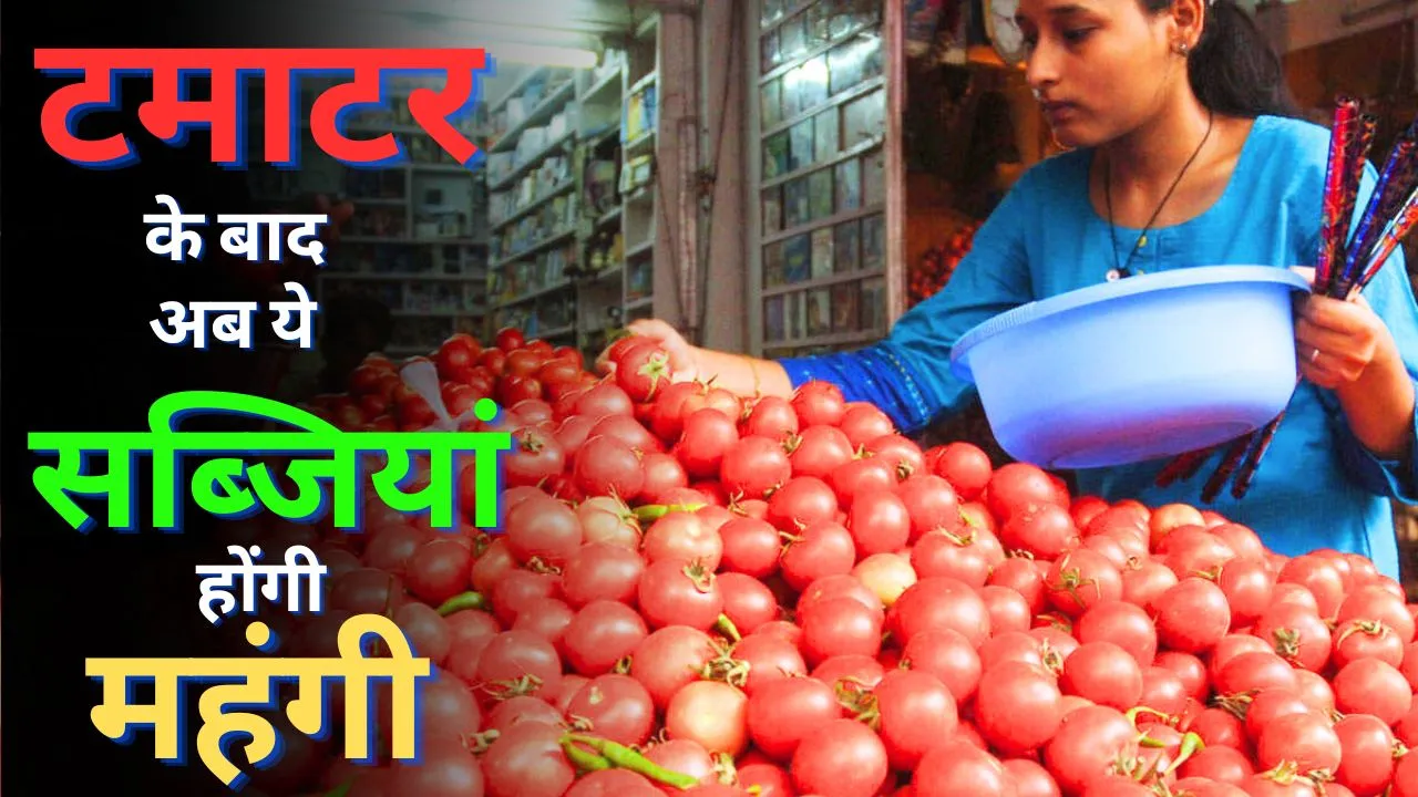 Tomato Price Today