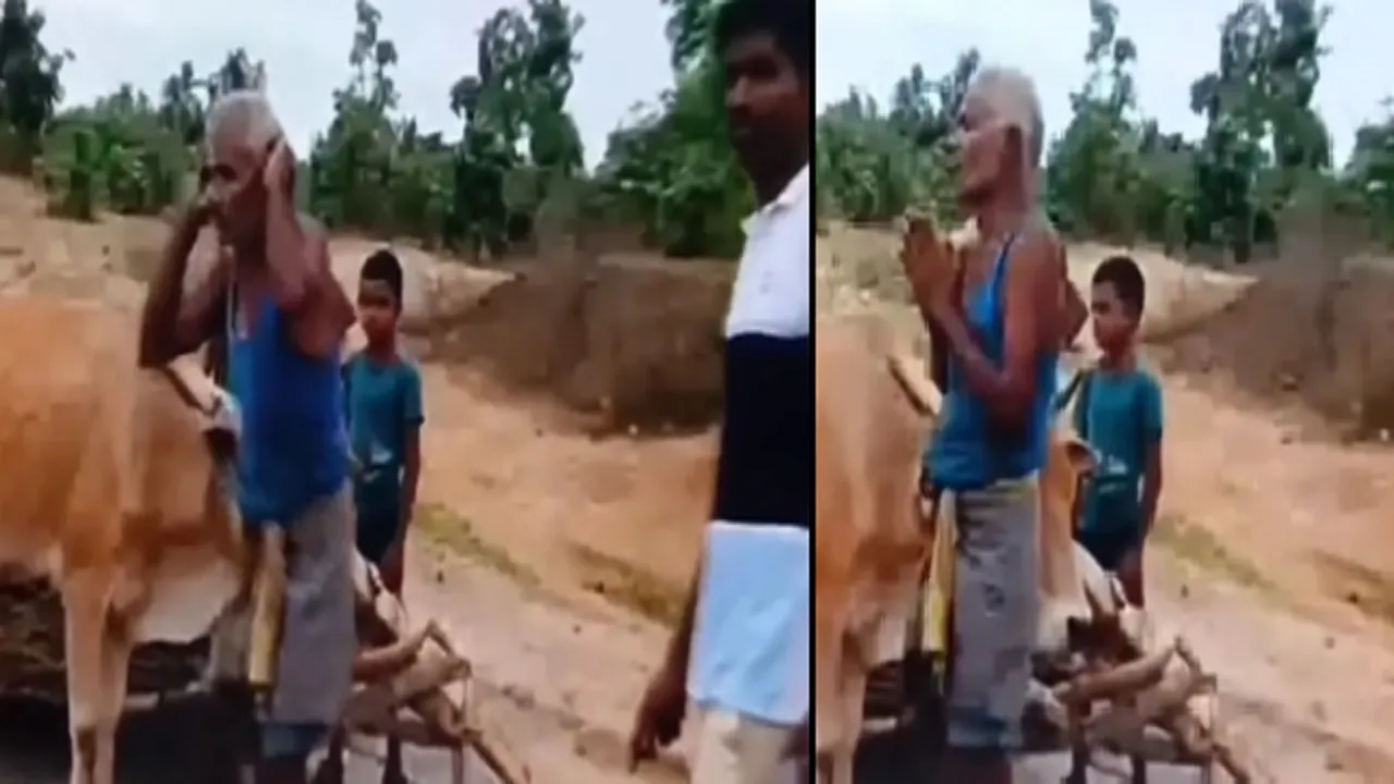 bujurg