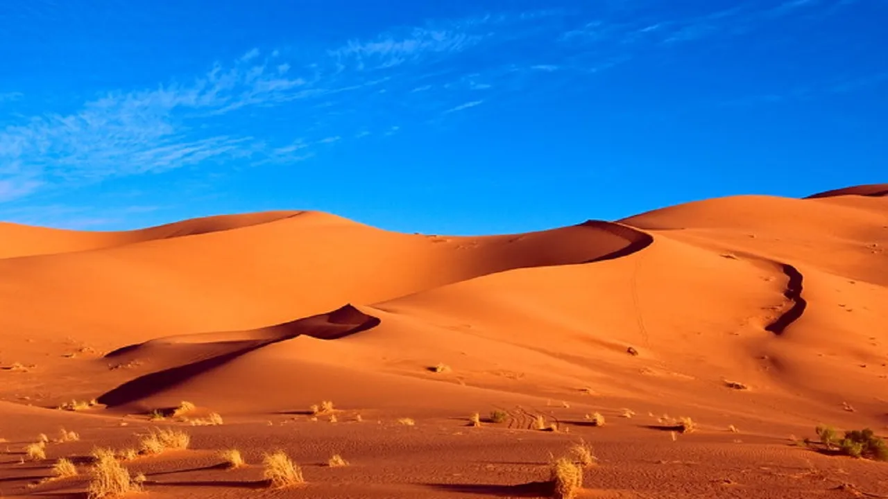 Desert of Morocco