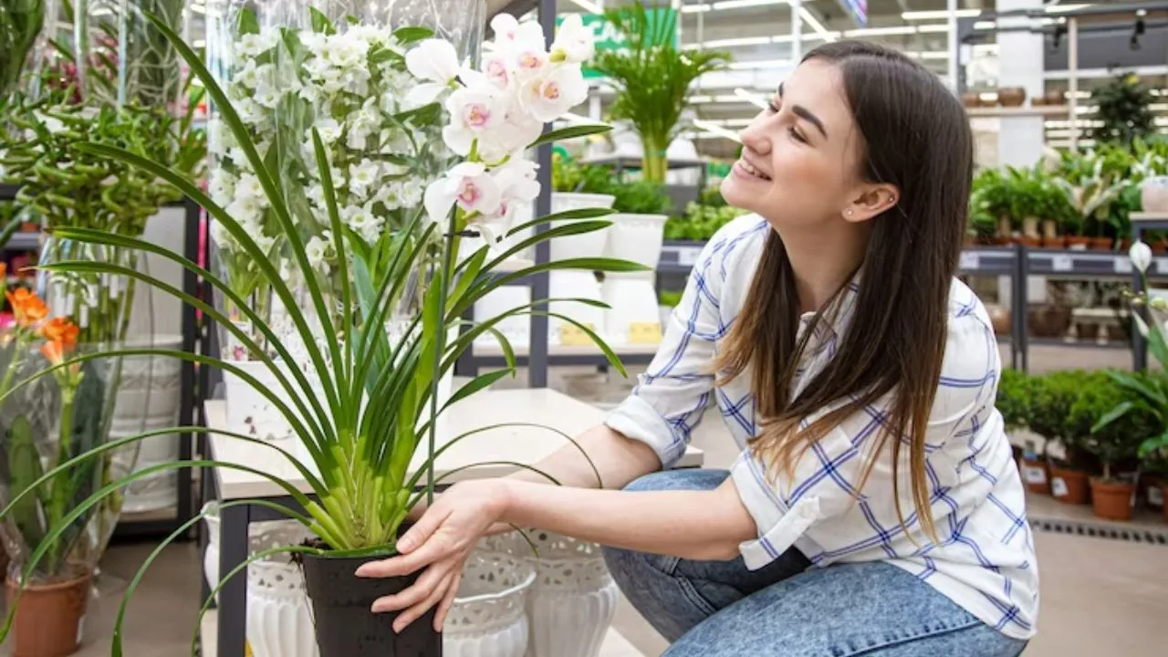 how to grow hair faster from balcony plants know here these home remedies