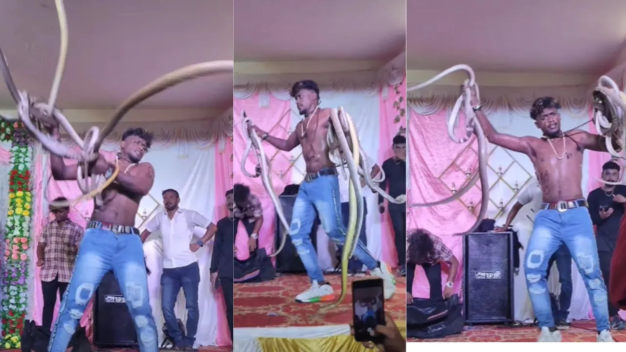 viral trending video
