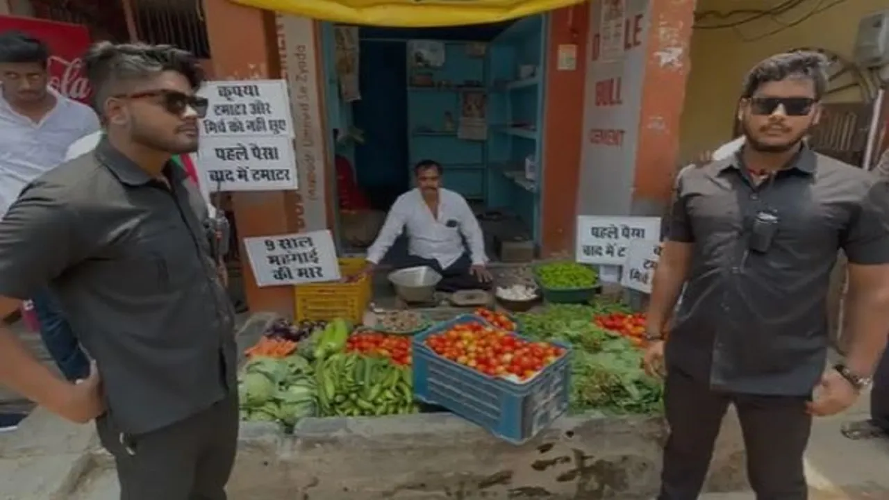 tomato price