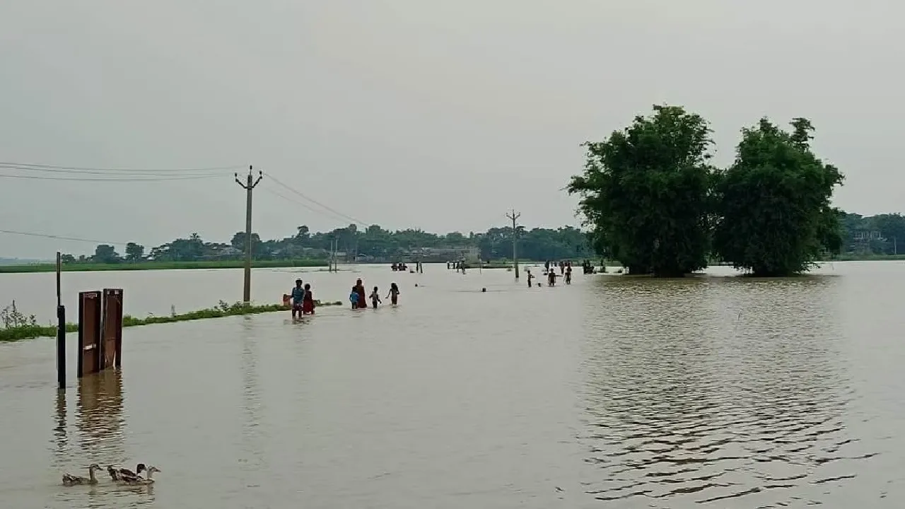 mahananda river