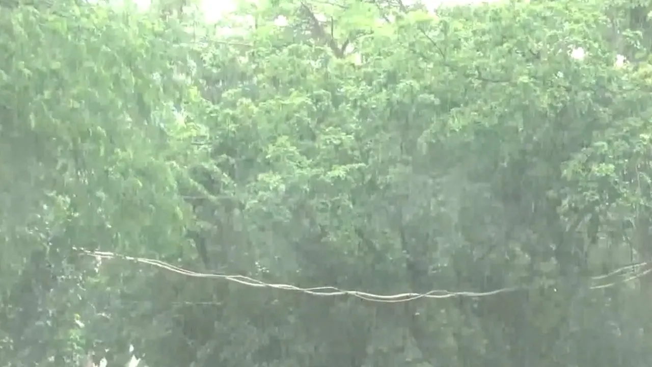 rain