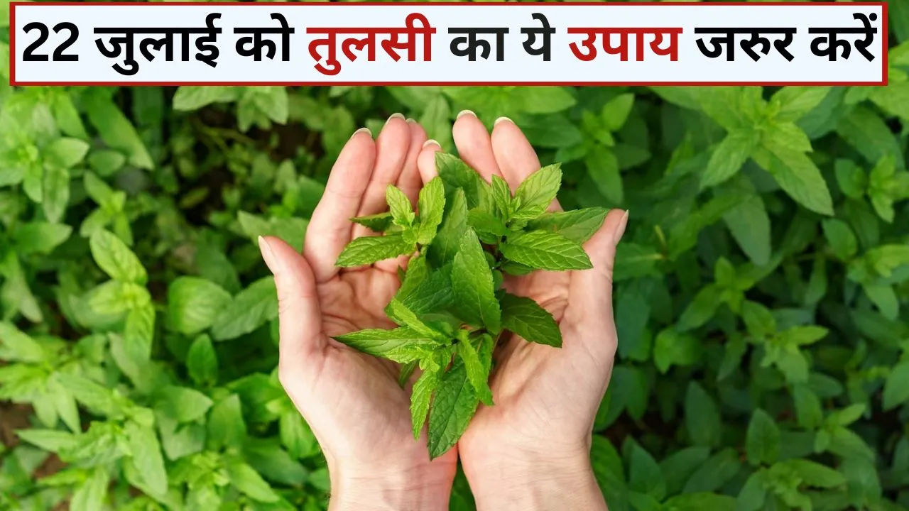 sawan adhik maas 2023 tulsi upay for financial growth