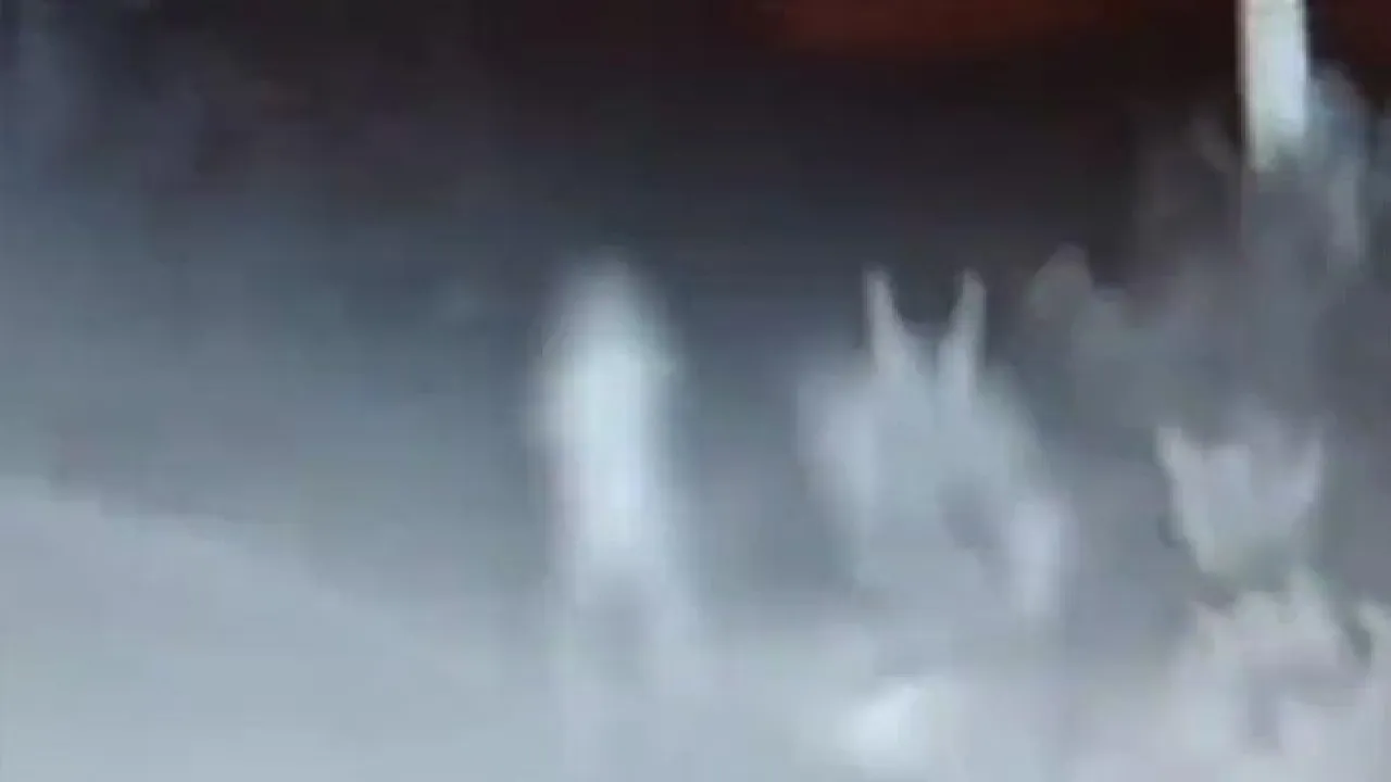 begusarai viral video