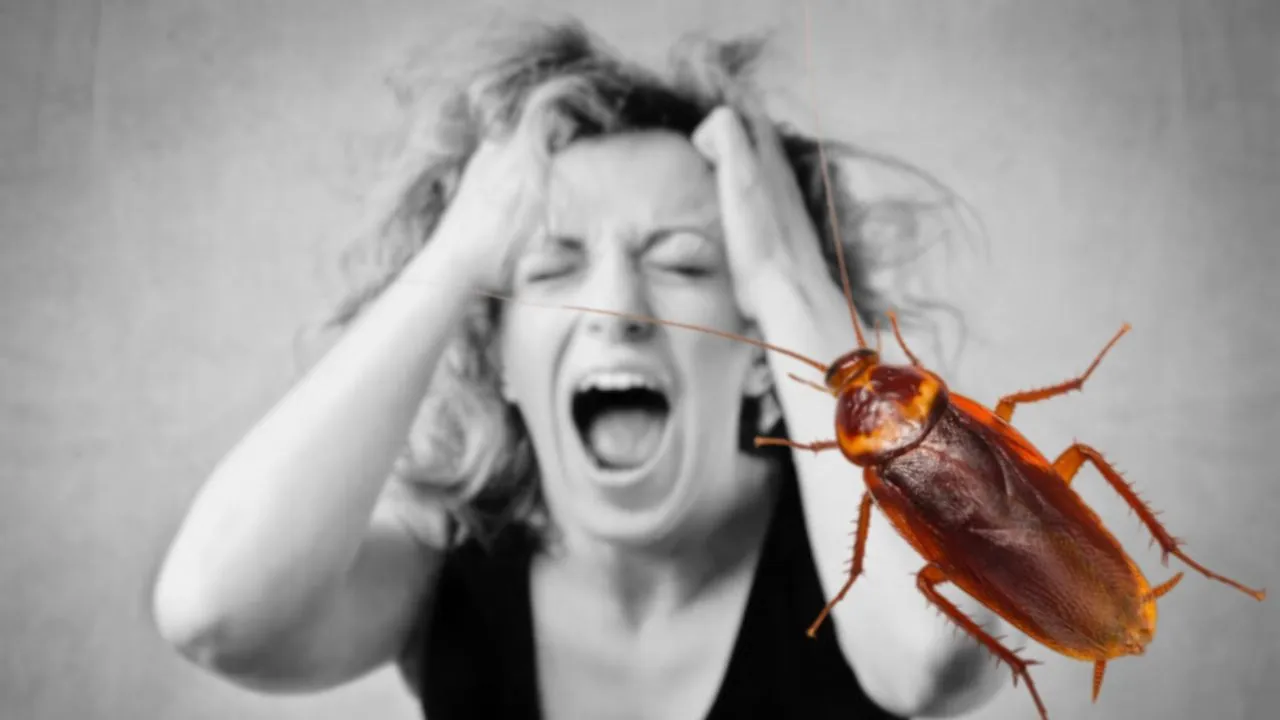 cockroach-news