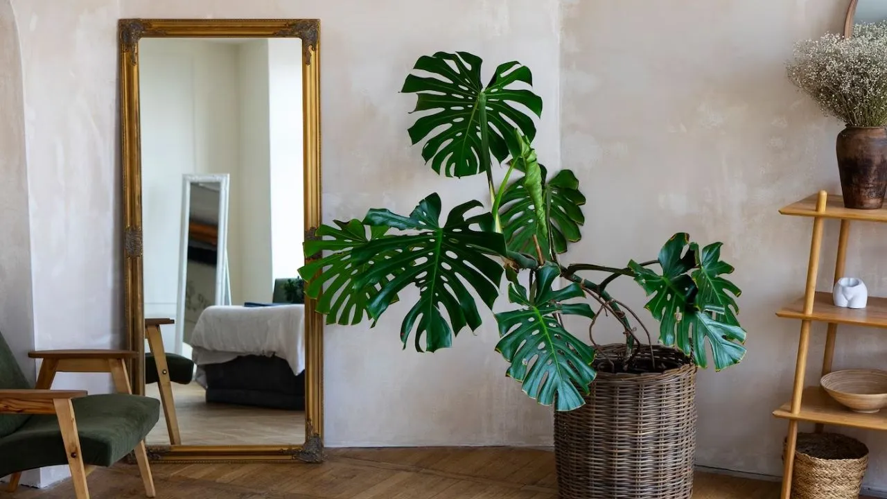 vastu shastra tips for mirror