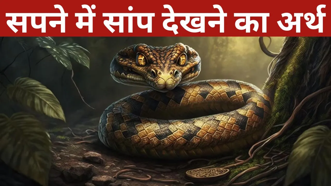 Snake Dream Meaning