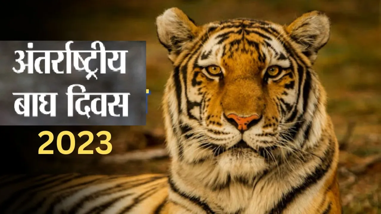 international tiger day