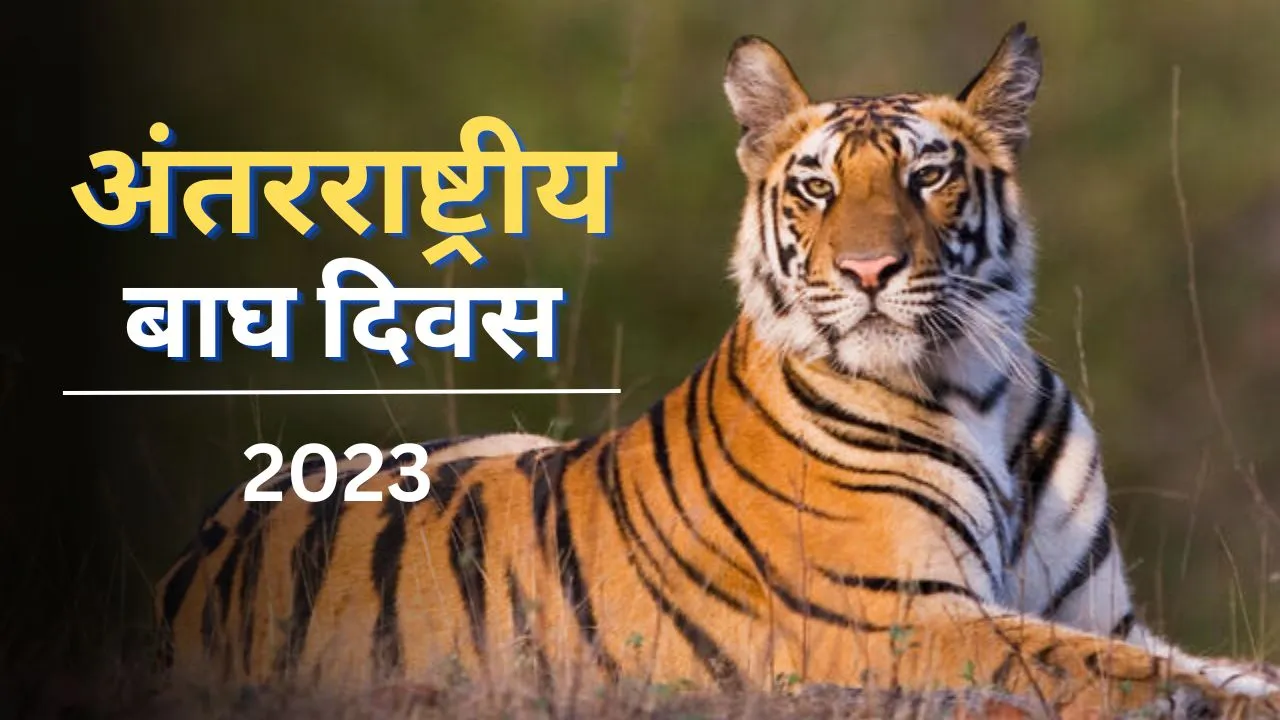 international-tiger-day