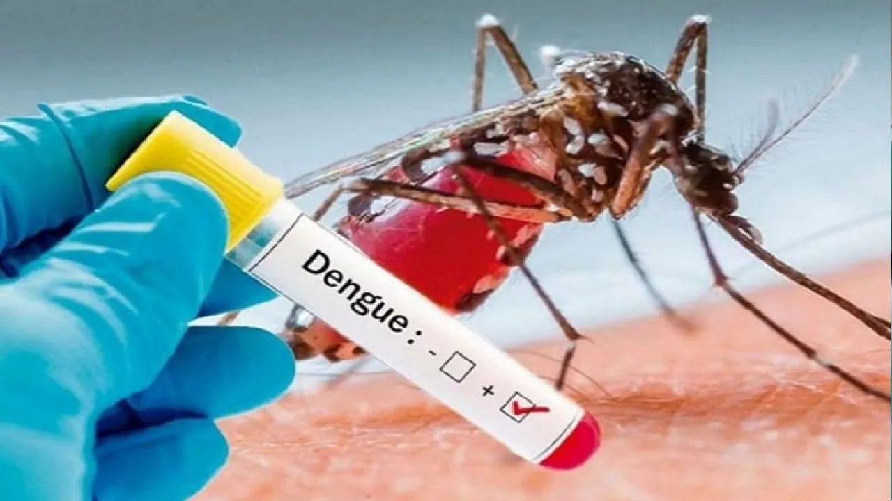 dengue in delhi