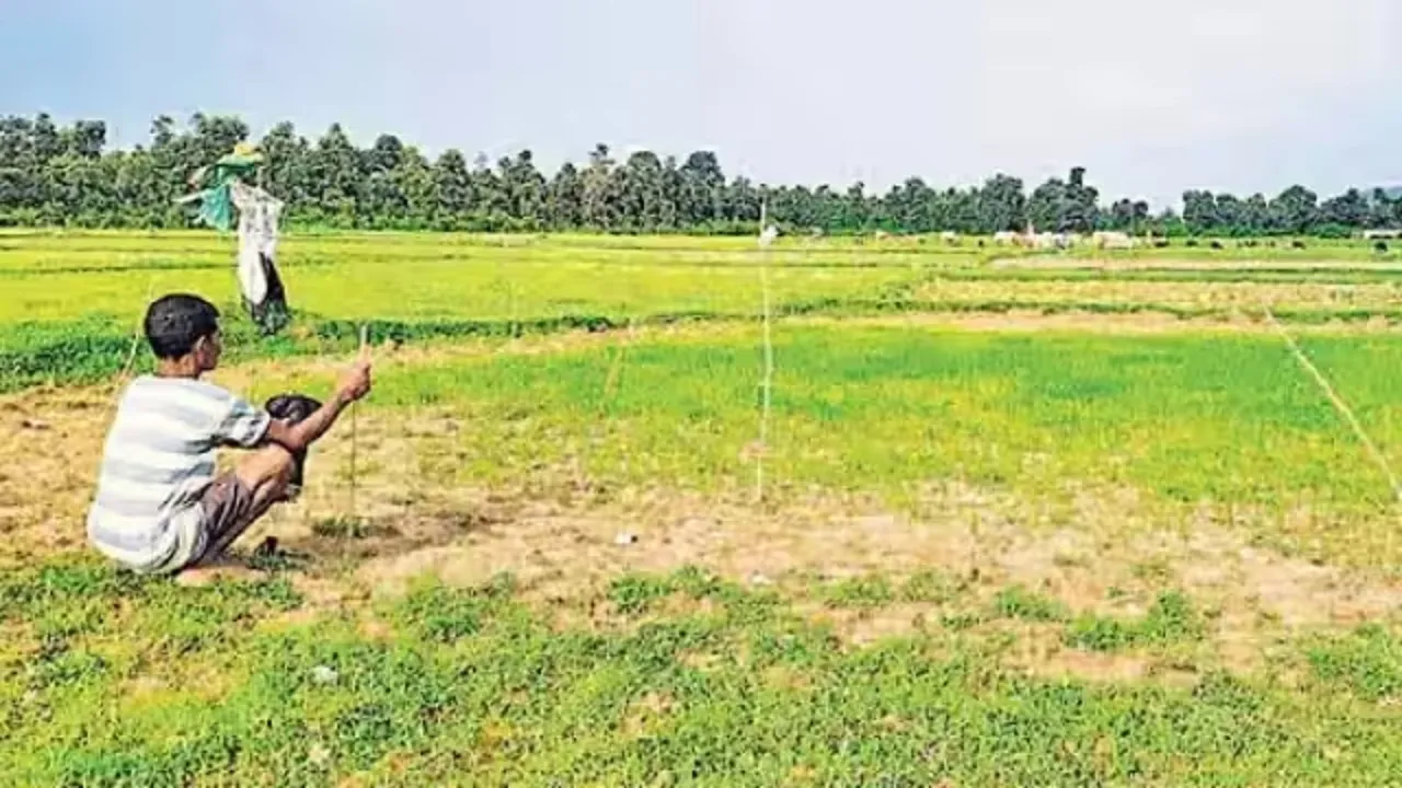 sukhar