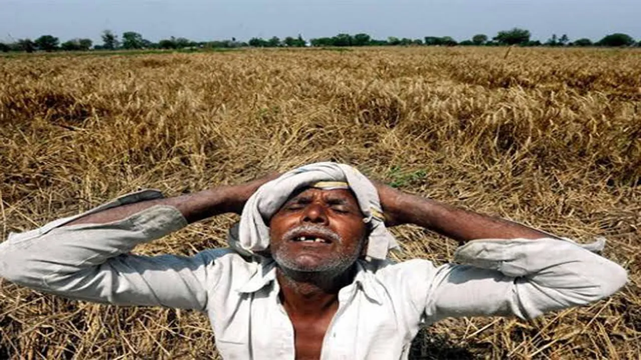 bihar farmer