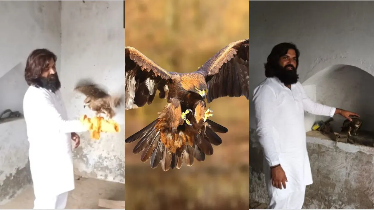 arif-baaz