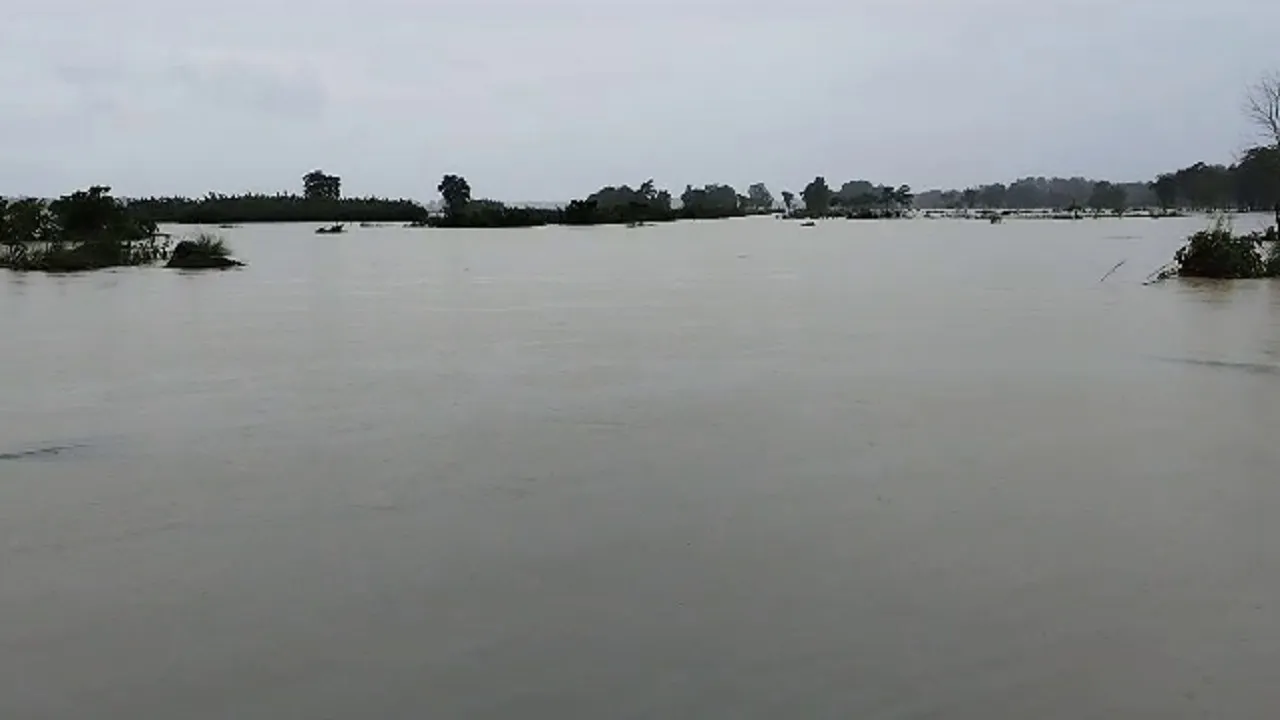 bihar heavy rain