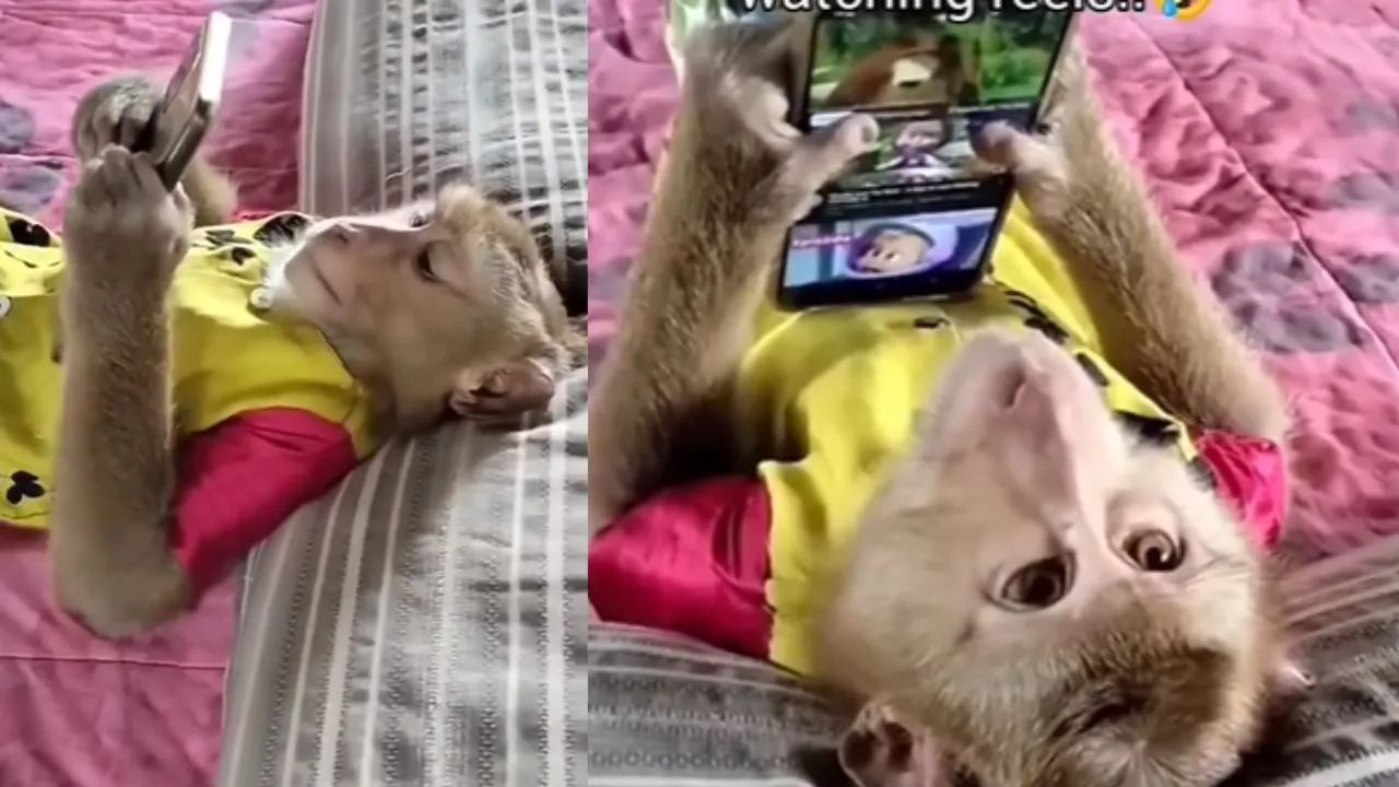 viral trending video