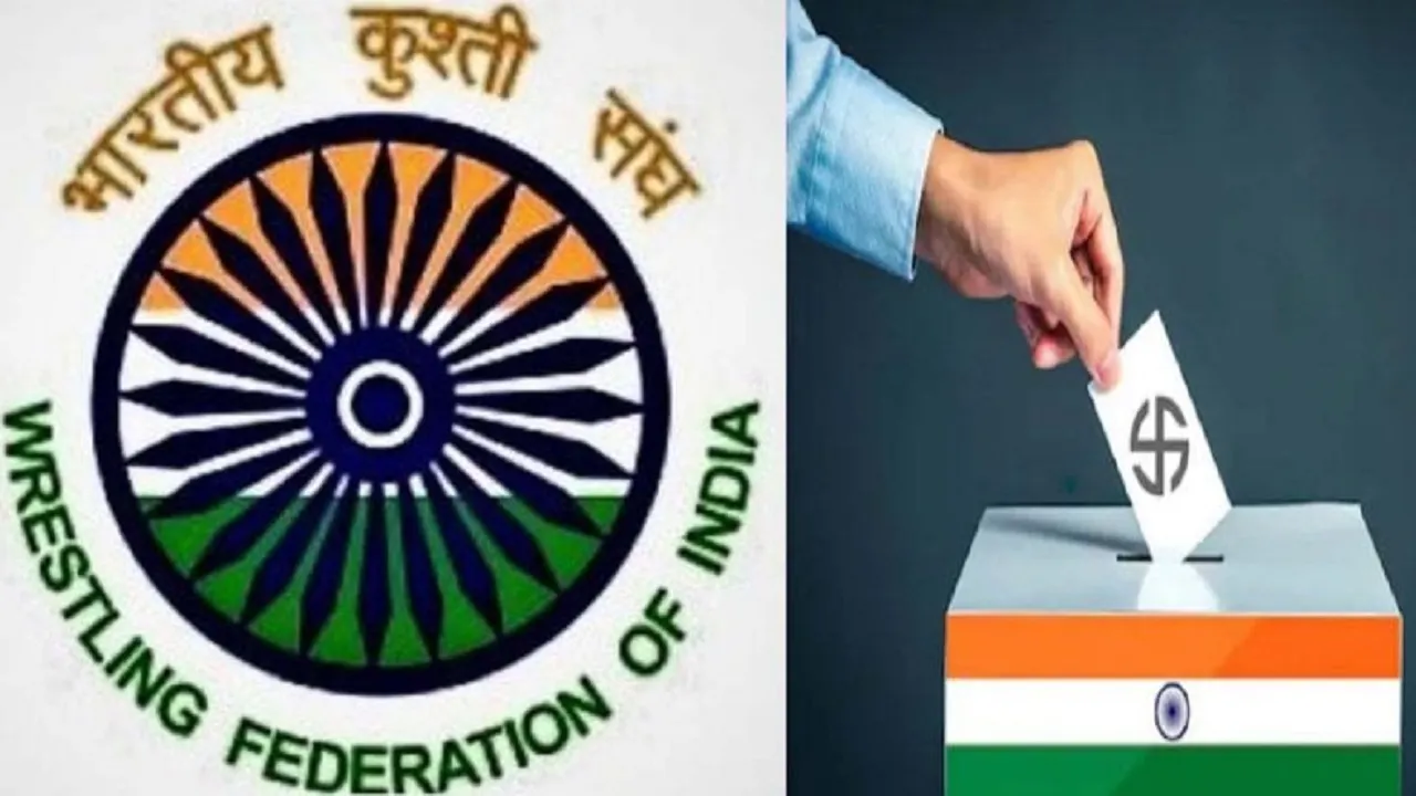 wfi elections