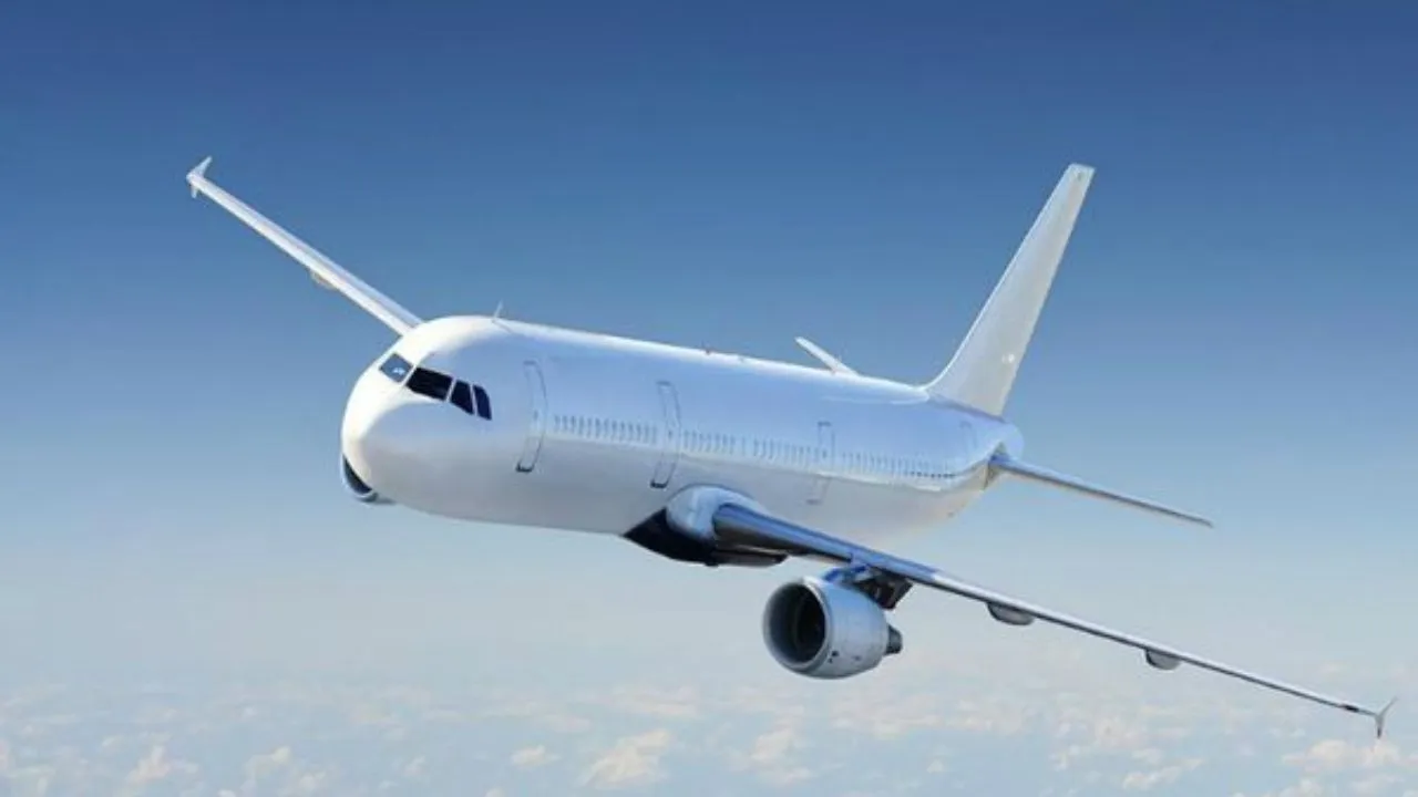 flight-viral-video