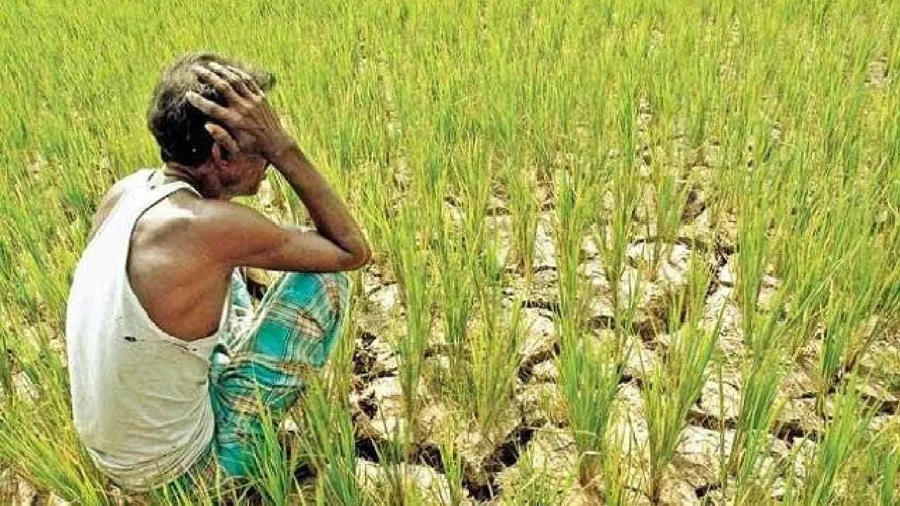 sad farmers