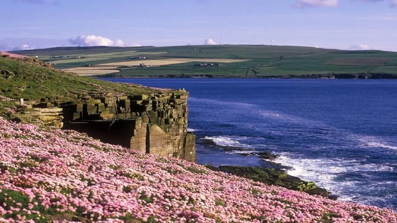 Eynhallow island1