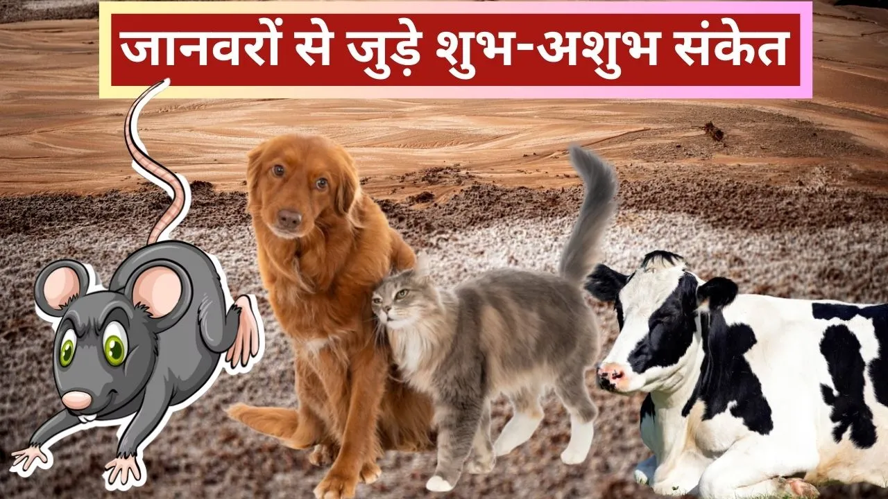 Auspicious and inauspicious signs related to animals