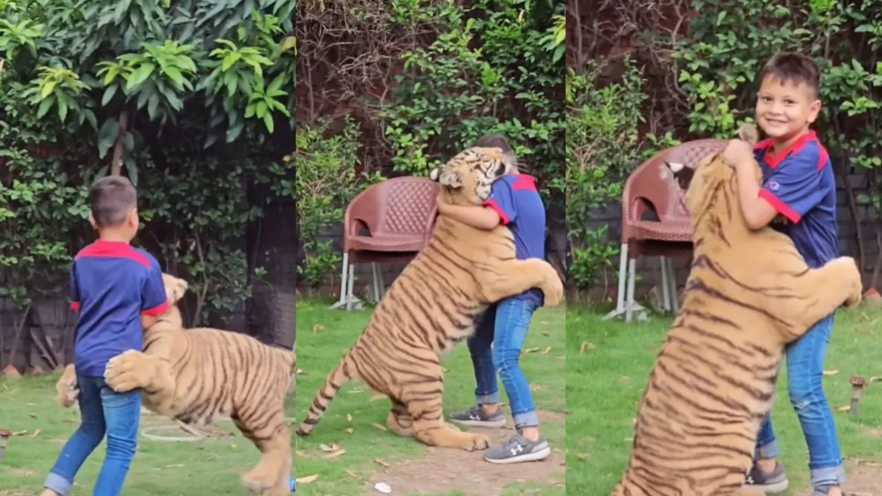 viral wildlife trending video