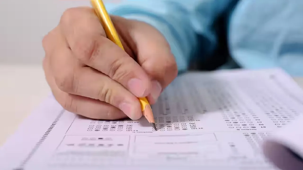 ctet exam